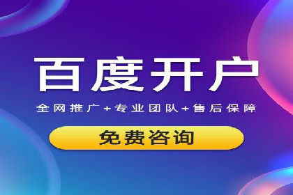 SEM搜索引擎优化策略解析与应用案例